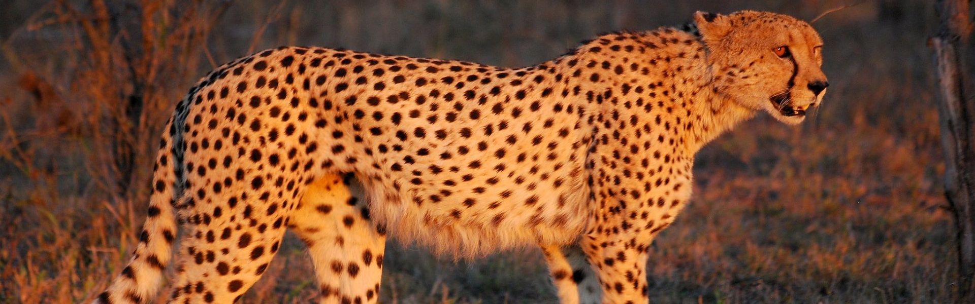 Sioma Ngwezi National Park