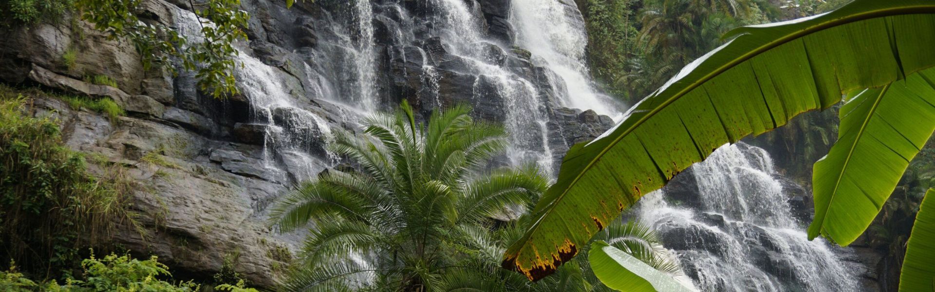 Rungwe Nature Reserve
