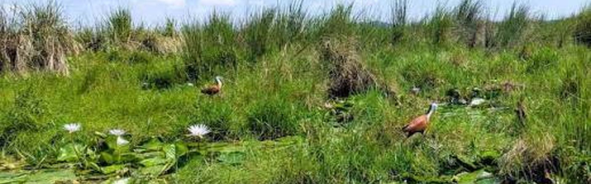 Igombe Game Reserve