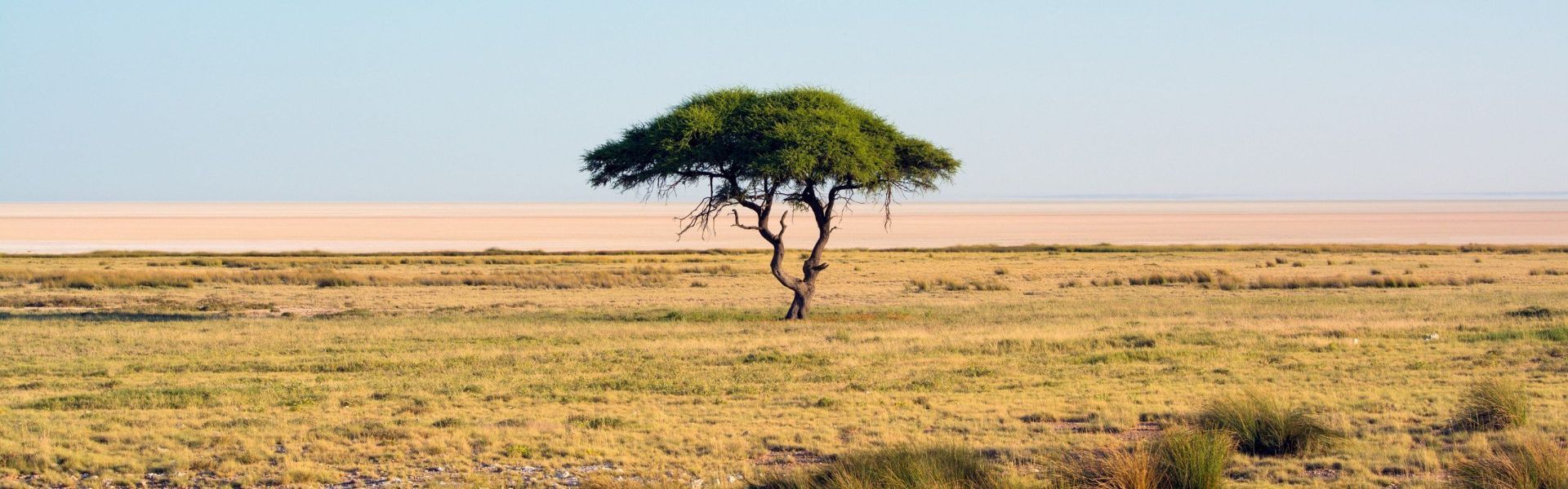 Omo National Park