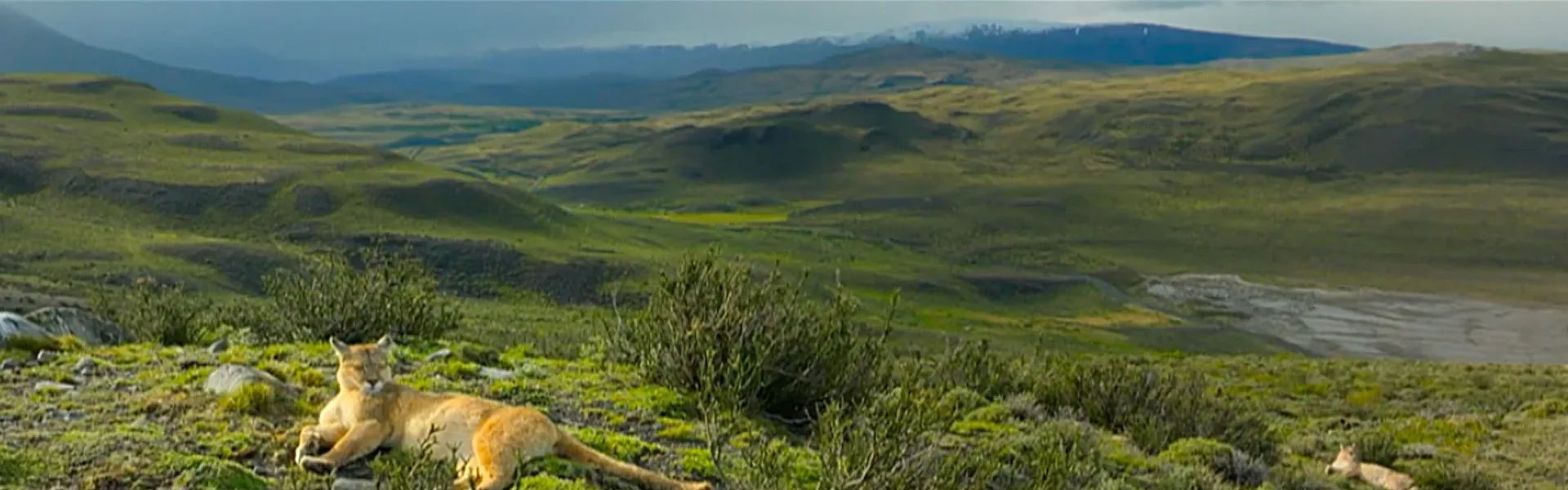 Grassland National Park