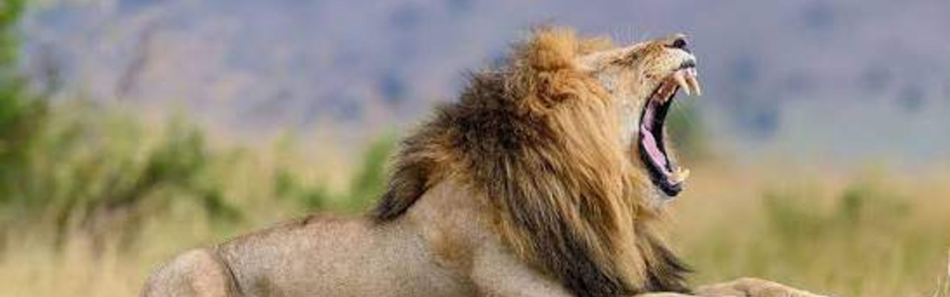 Lukwati Game Reserve