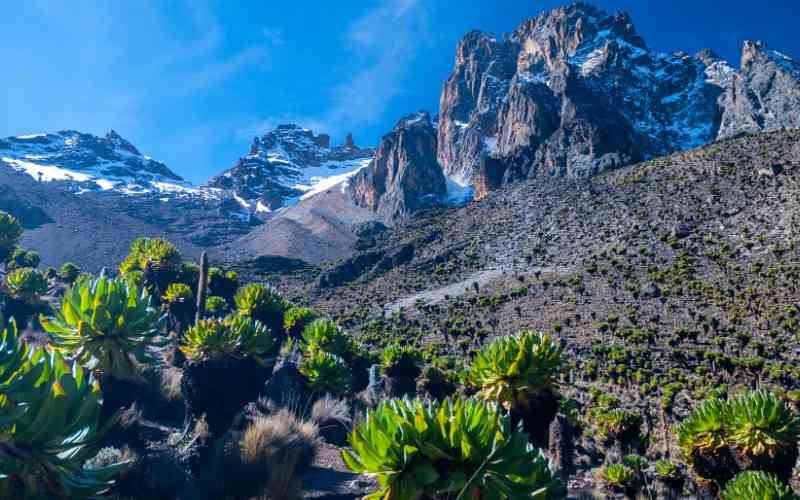 Mount Kenya National Park