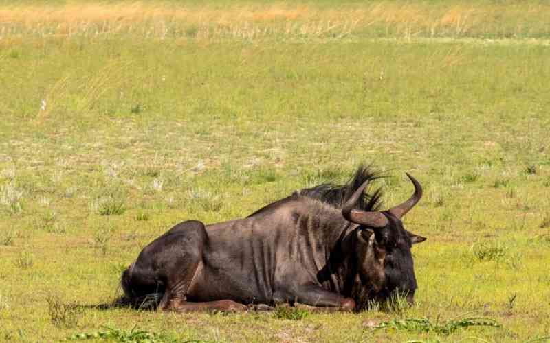 Liuwa Plain National Park