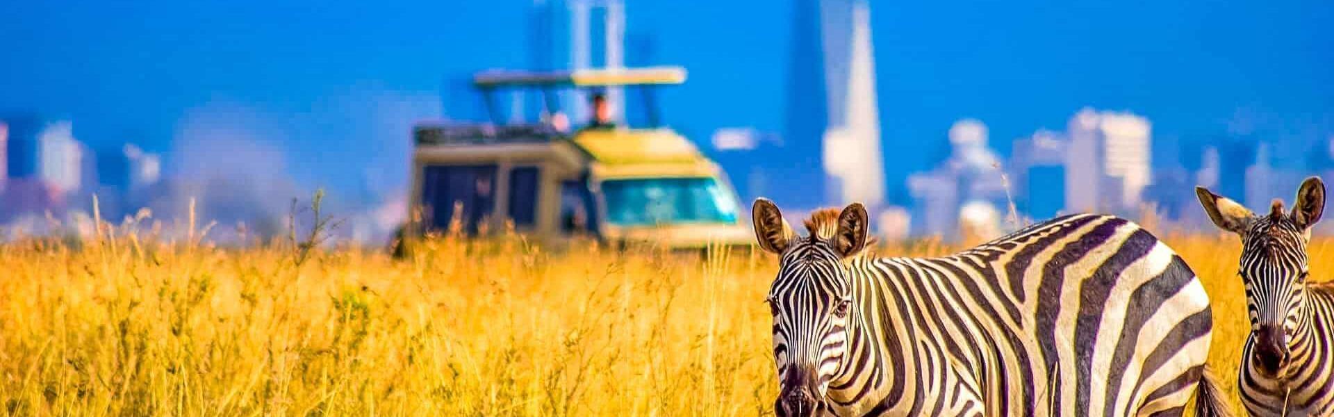Nairobi National Park