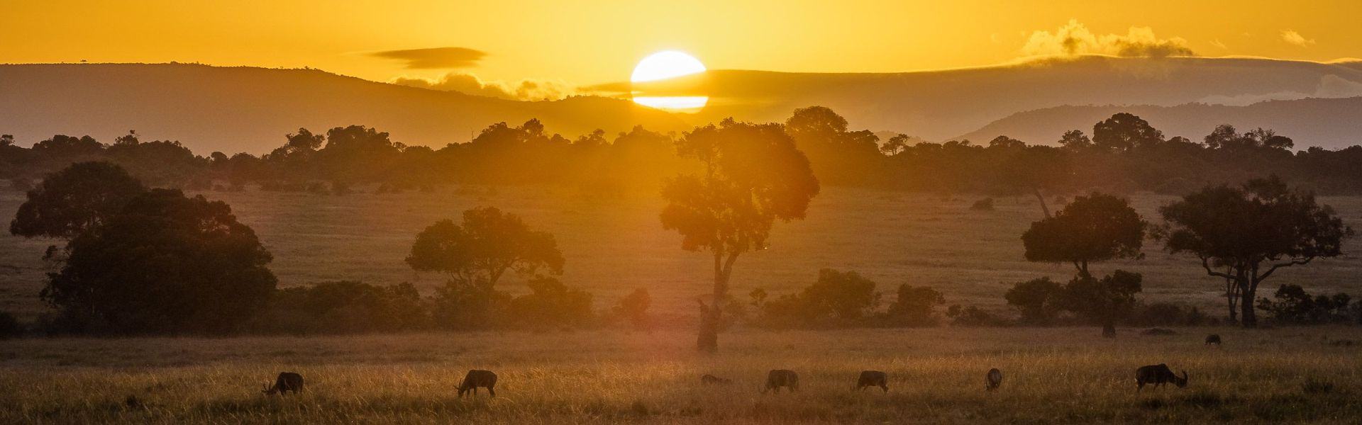 Maasai Mara National Reserve