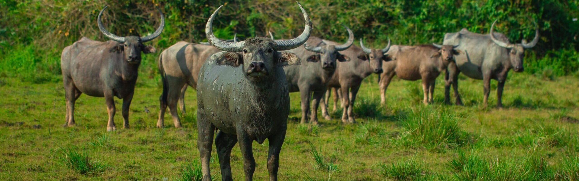 Mago National Park