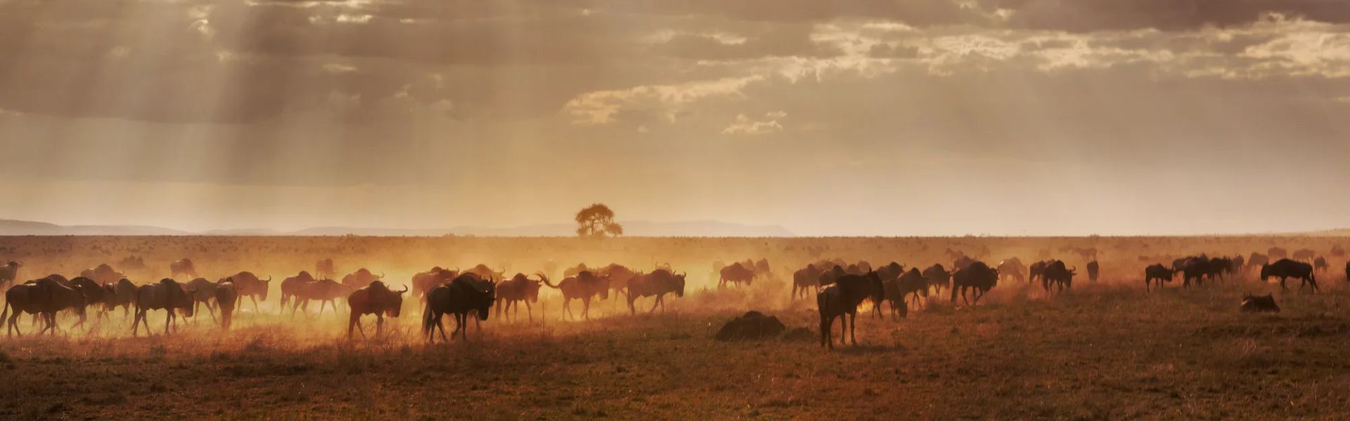 Bontebok National Park