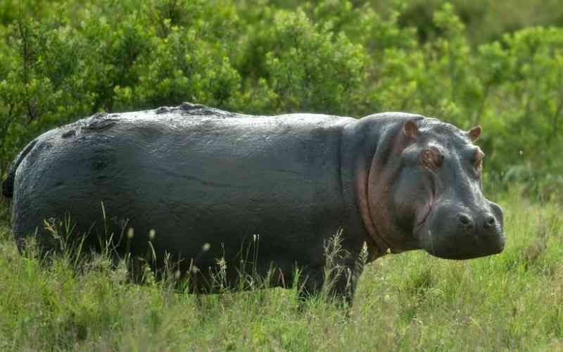 Katonga Wildlife Reserve