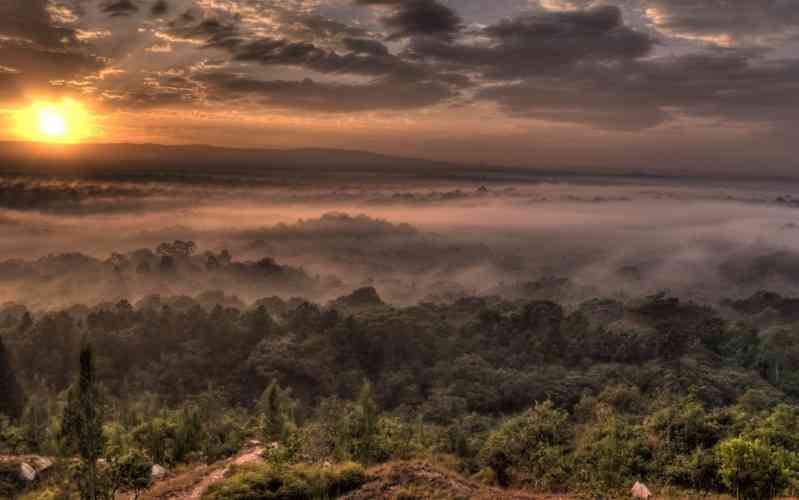 Kakamega Forest  Reserve
