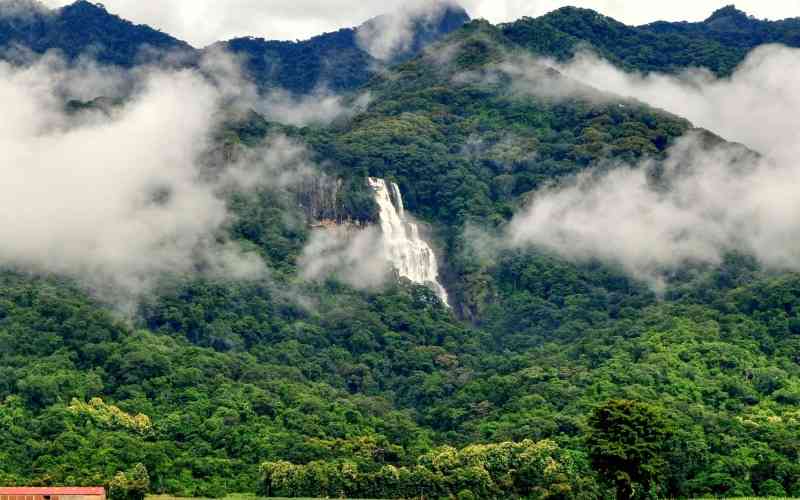 Udzungwa Scarp Nature Reserve
