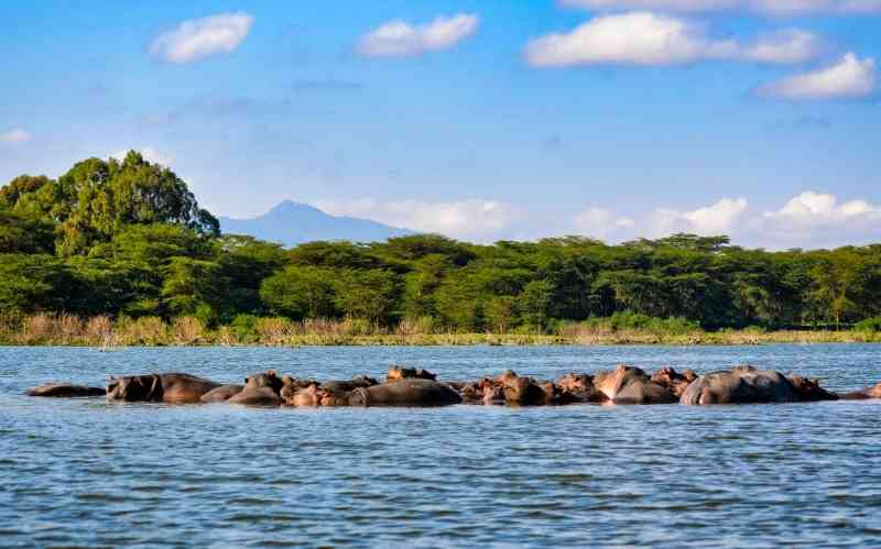 Lake Bogoria National Reserve