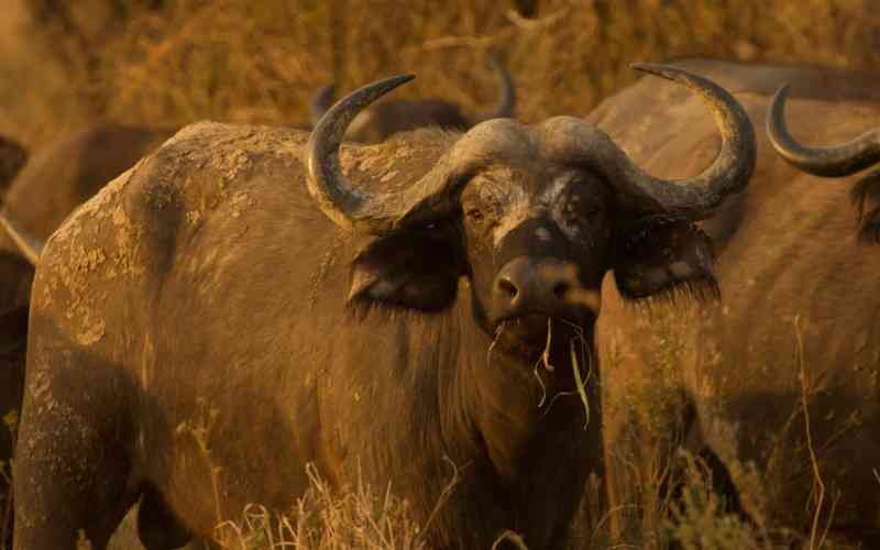 Nsumbu National Park