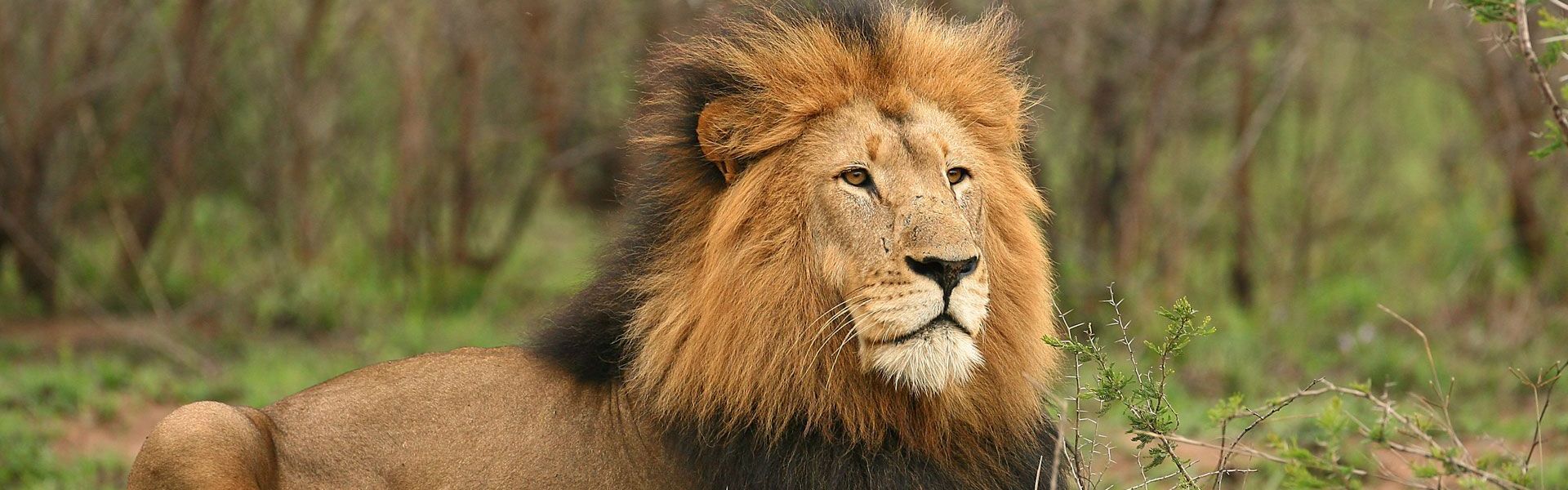 Ruaha National Park