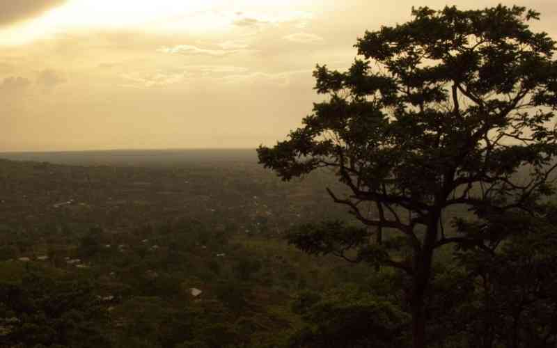 Otze Forest Wildlife Sanctuary