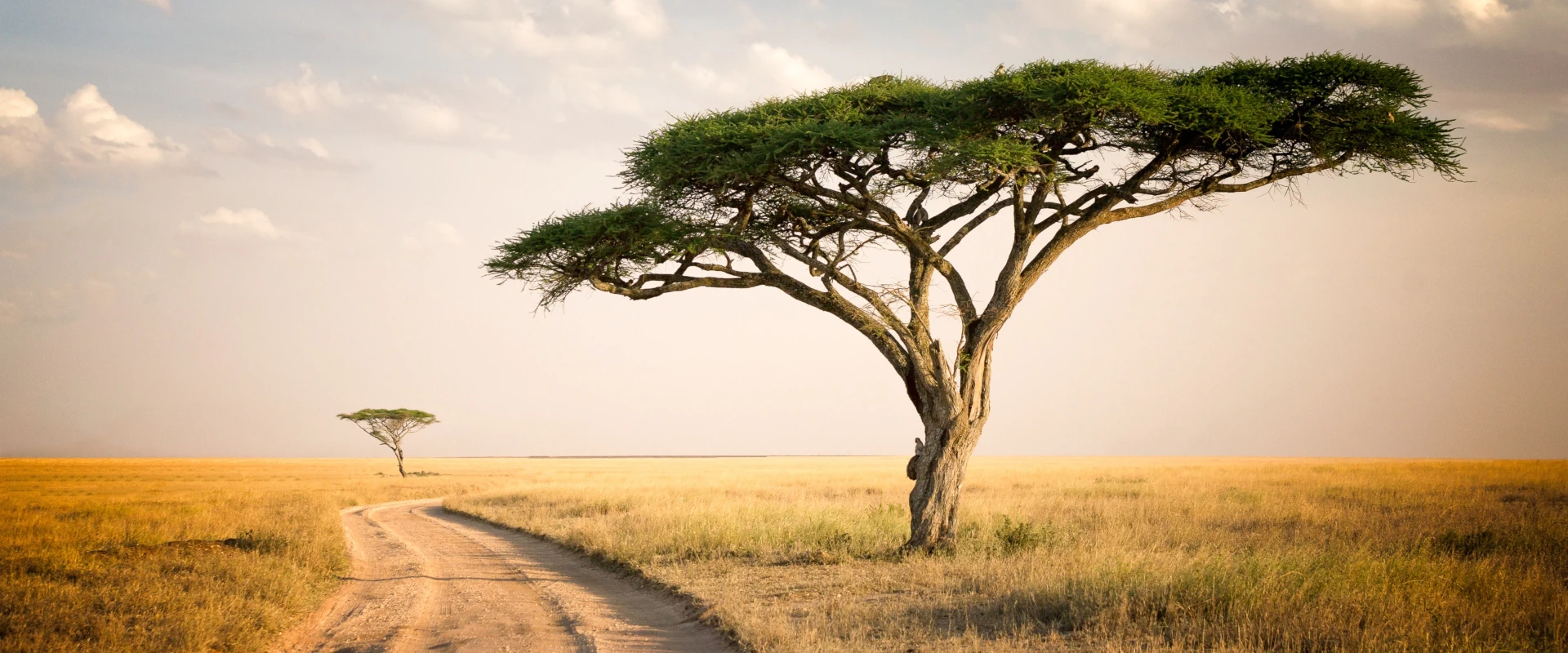 Africa Safari Destinations