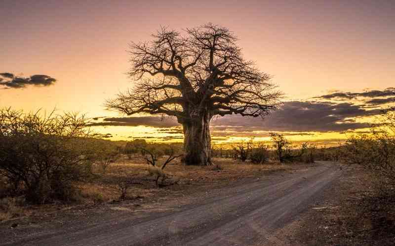 Mapungubwe National Park