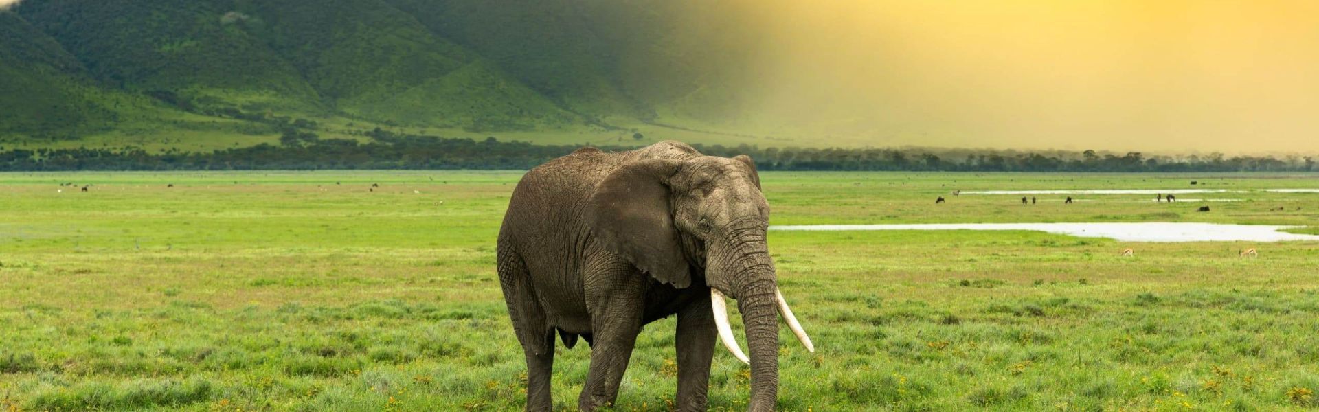 Moyowosi Game Reserve
