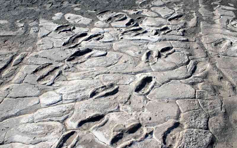 Laetoli Footprints