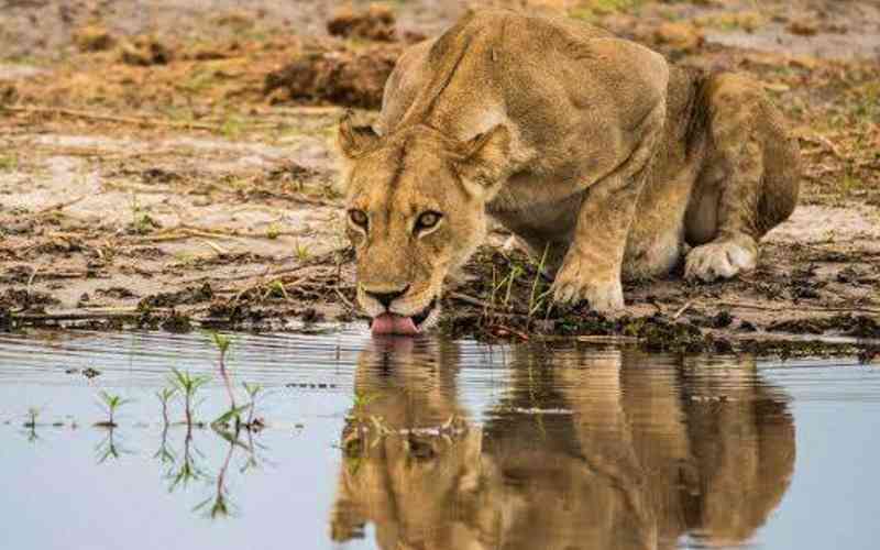 Mwea National Reserve