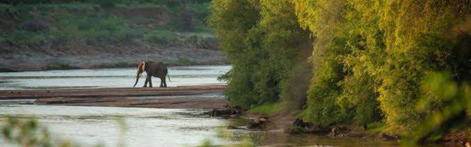 Tsavo West National Park