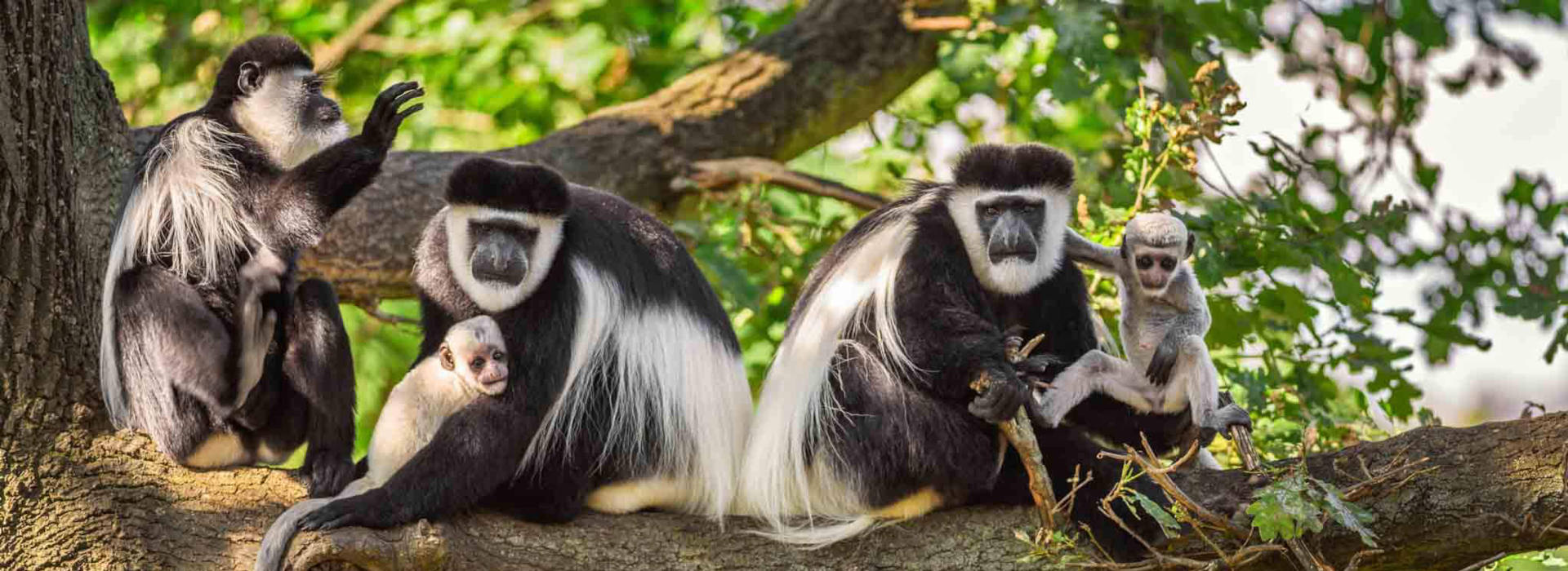 Arusha National Park