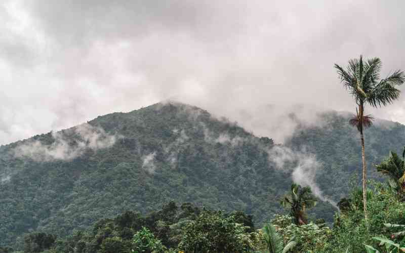 Kitwai Forest Reserve