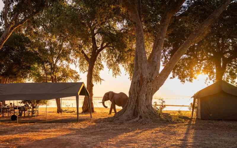 Matusadona National Park