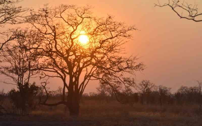 Kazuma Pan National Park