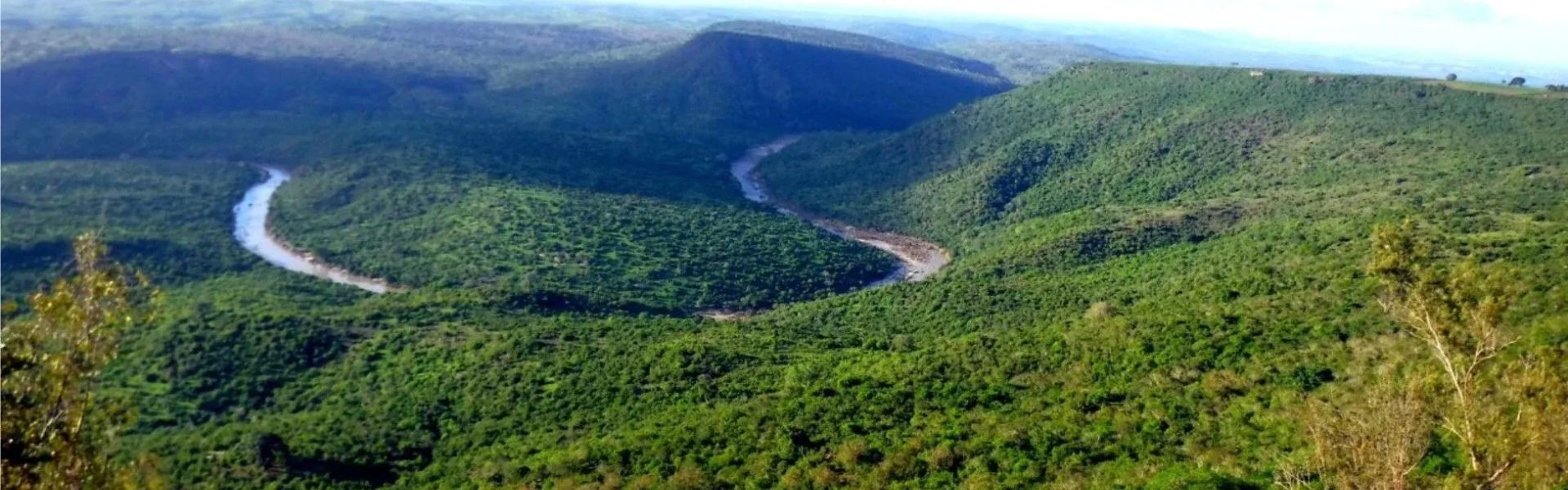 Shimba Hills National Reserve
