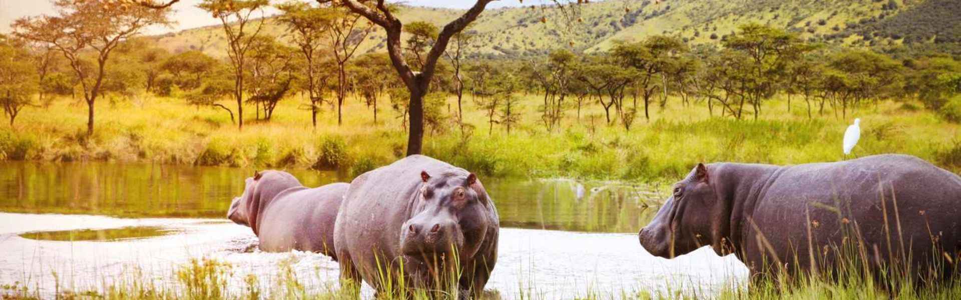 Kisungule Wildlife Mnagement Area