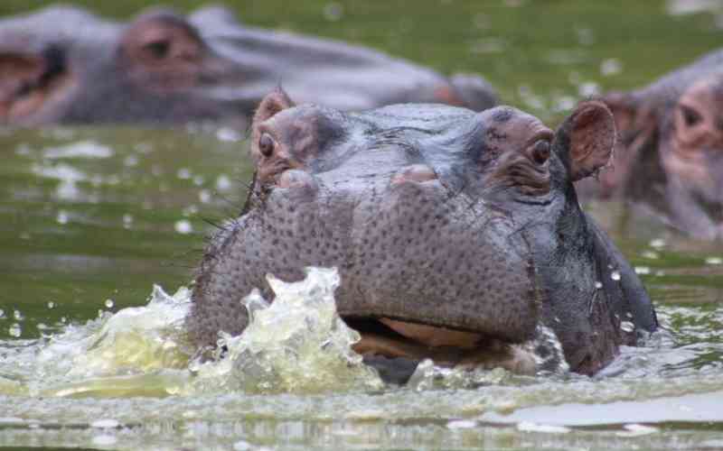 Lake Mburo National Park