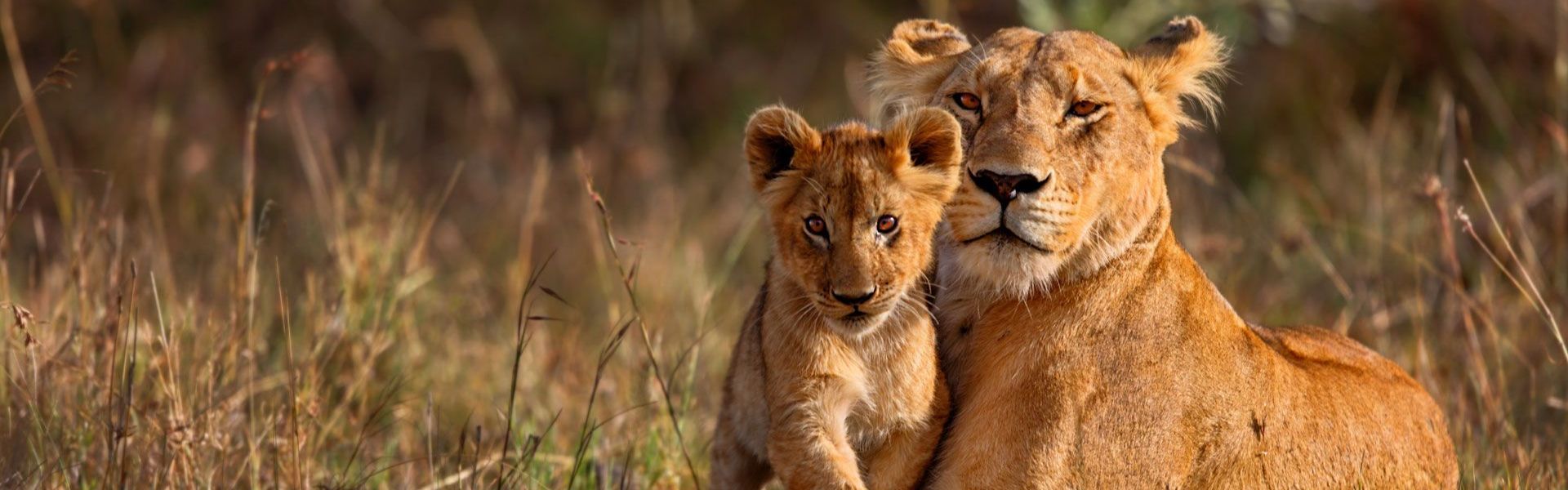 Kruger National Park
