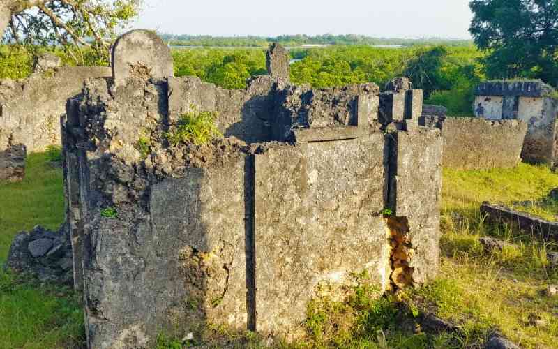 Tongoni Ruins Historical Site