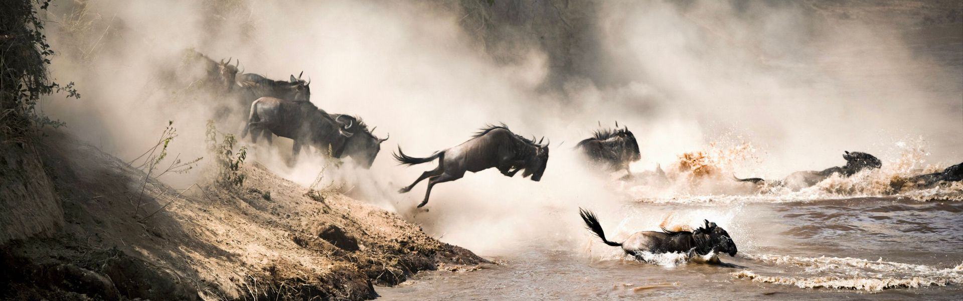 Tana River Primate National Reserve