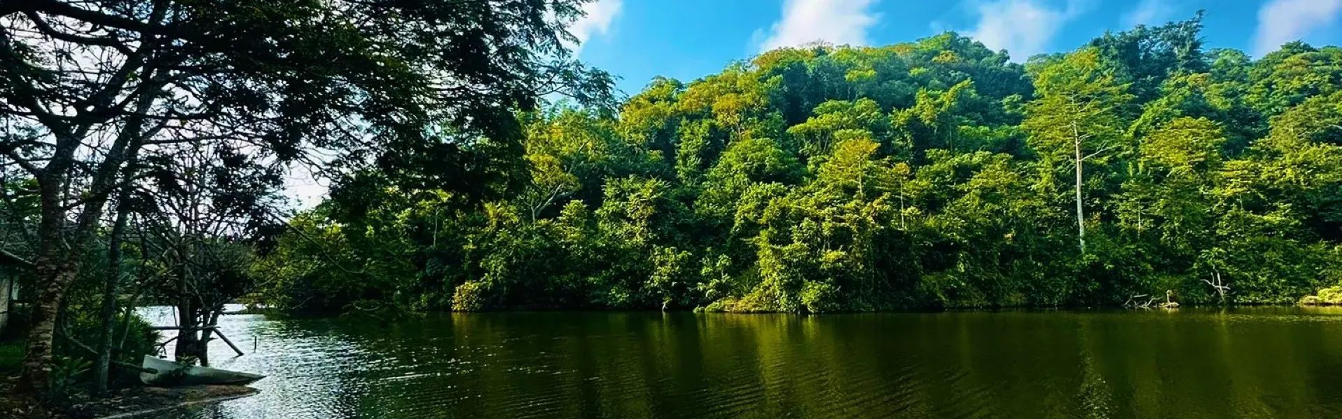 Pugu Hills Forest Reserve