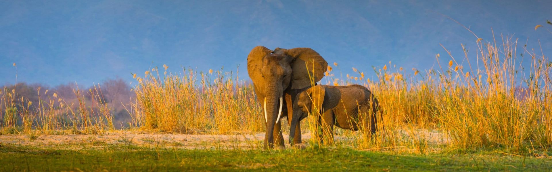 Zambezi National Park