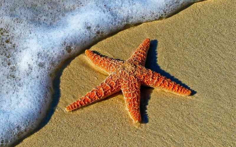 Mombasa Marine National Park