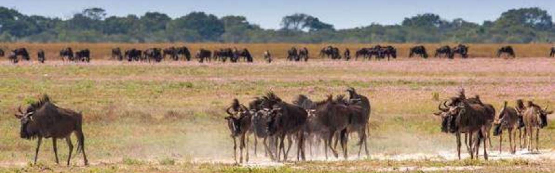 Liparamba Game Reserve