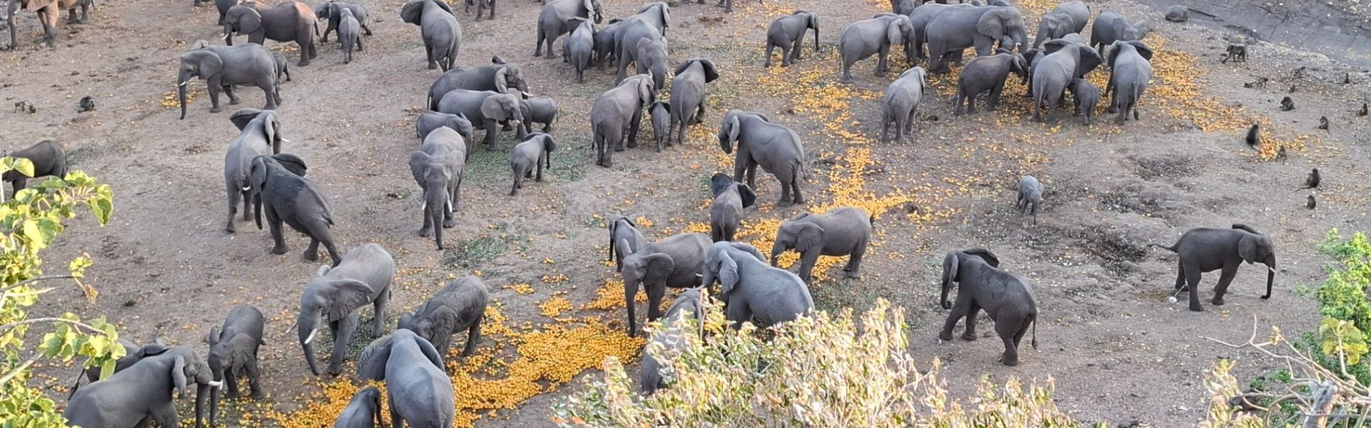 Thuli Parks and Wildlife Land