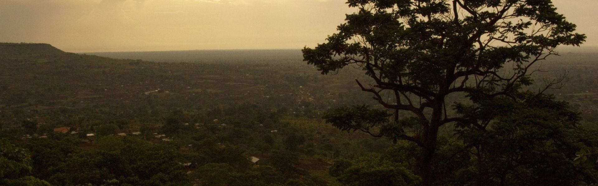 Otze Forest Wildlife Sanctuary
