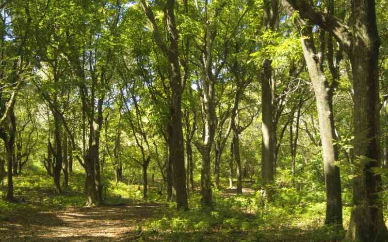 Mwambesi Game Controlled Area