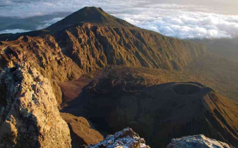 Meru National Park