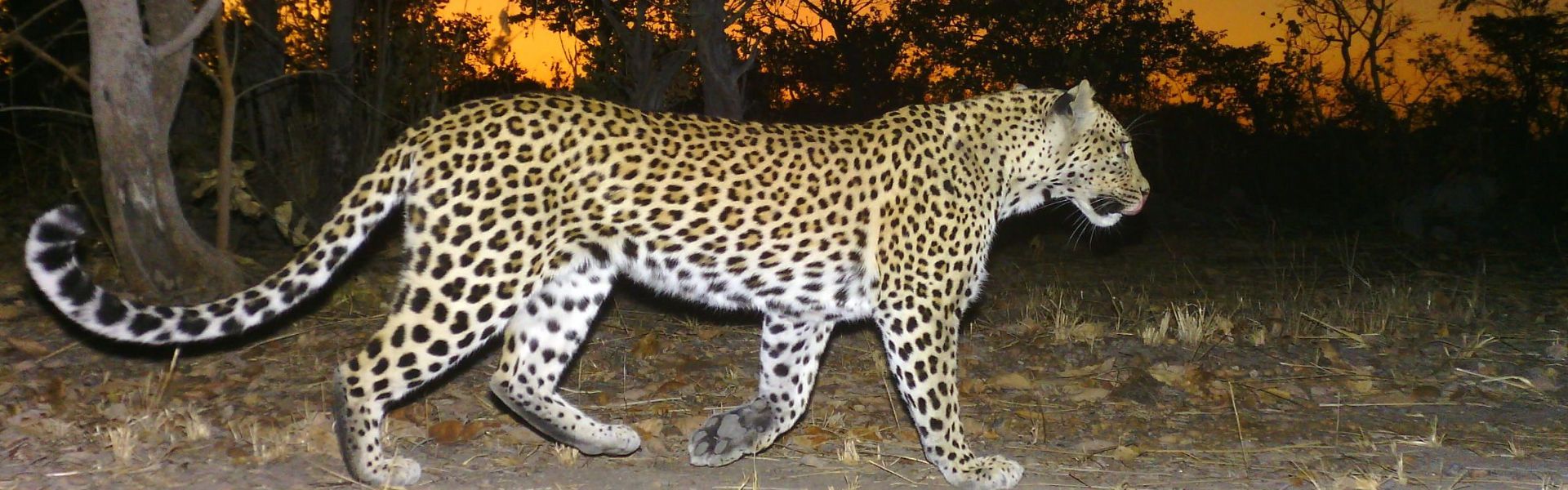 Kafue National Park