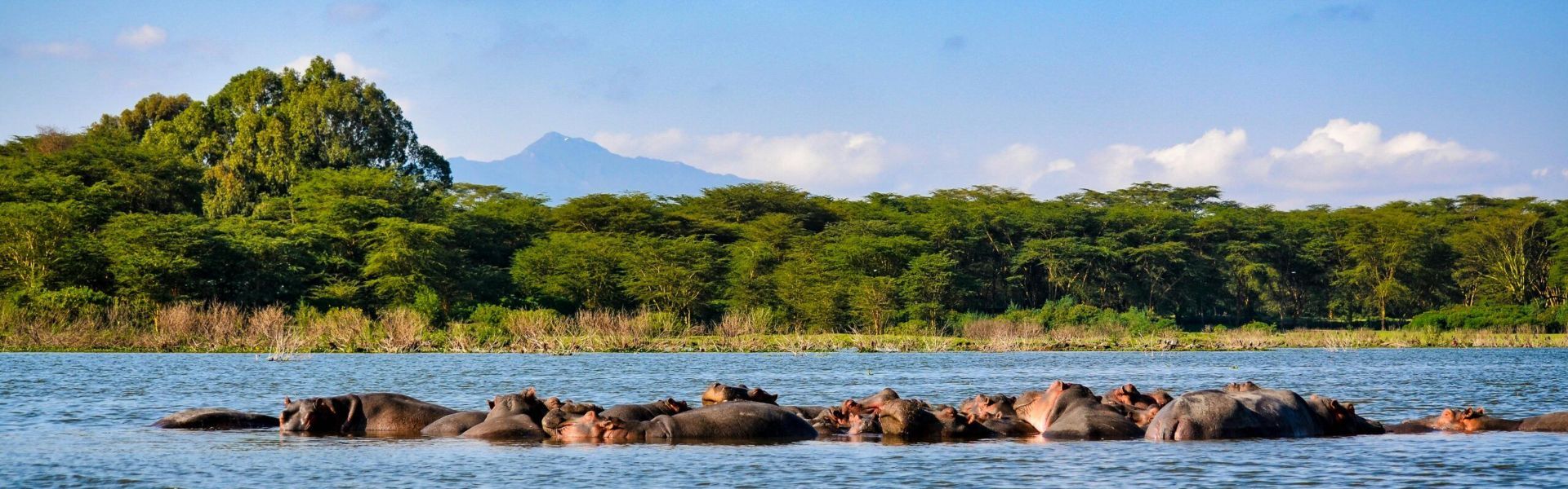 Lake Bogoria National Reserve