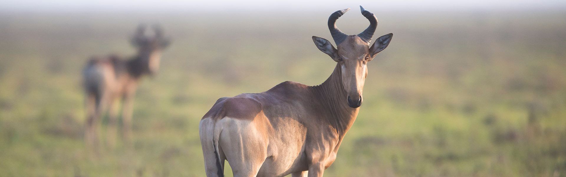 Msanjesi and Lukwika Game Reserves.