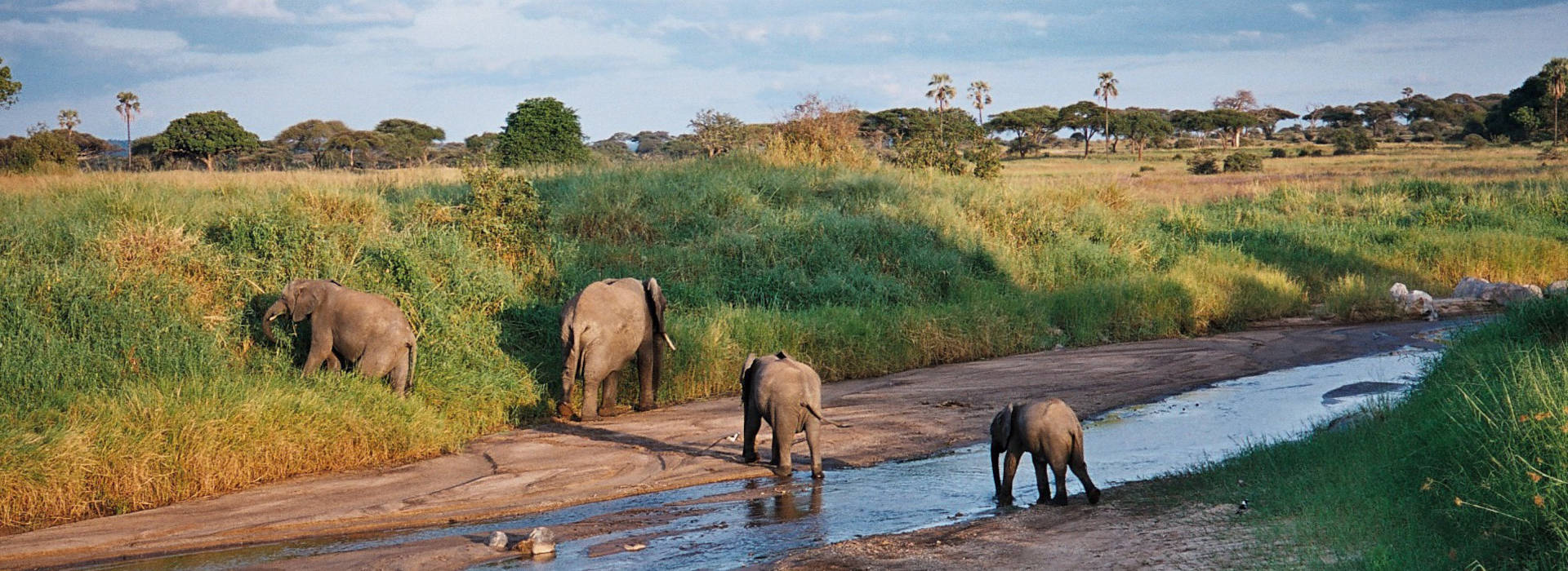 Tarangire National Park