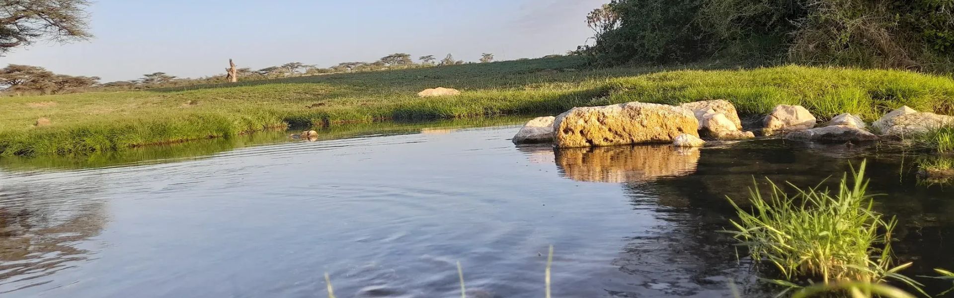 Buffalo Springs National Reserve