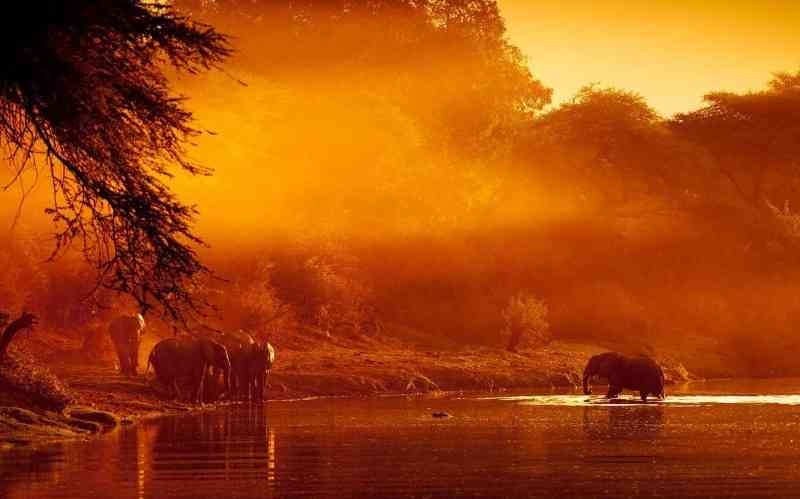 Lukusuzi National Park