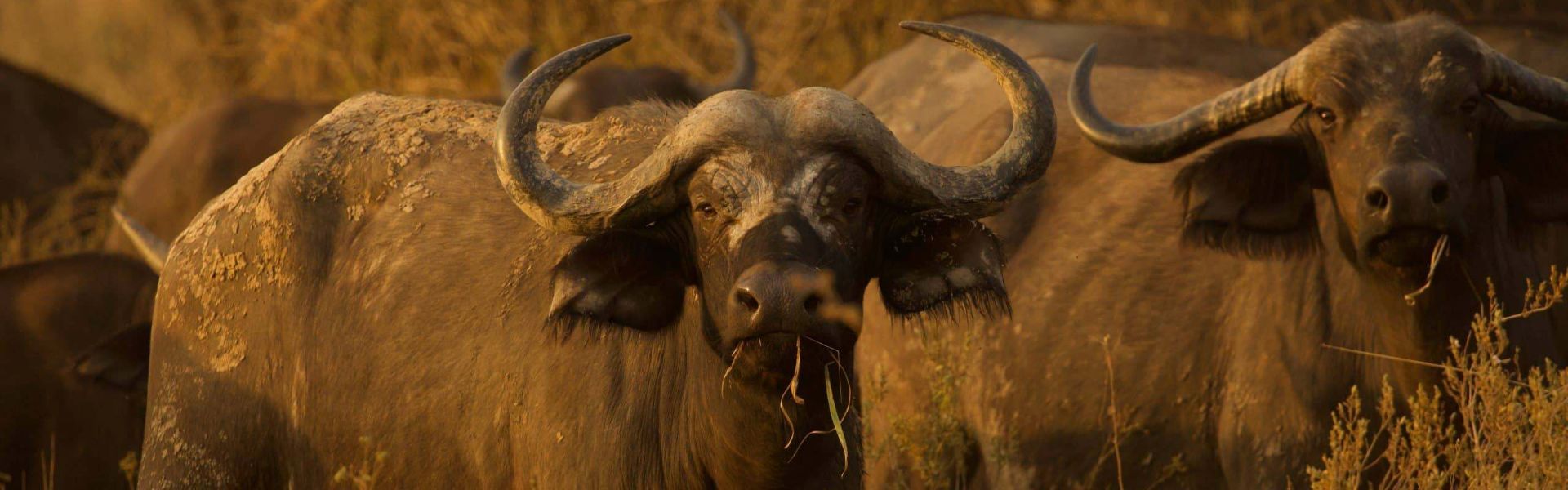 Nsumbu National Park